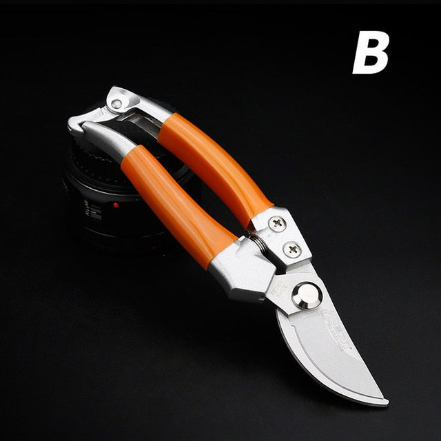 Fruit Tree Pruning Tool